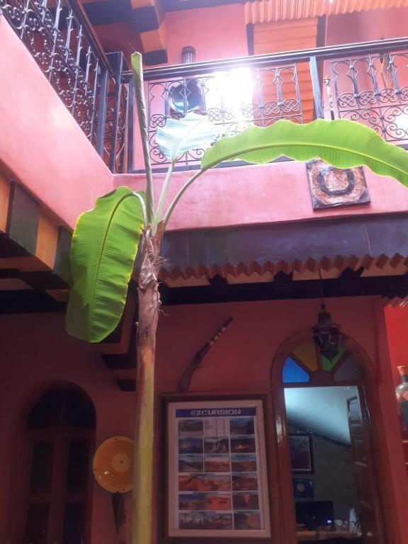 Riad Hanafi Marrakesh Eksteriør billede